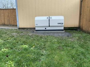 whole house generator sizing